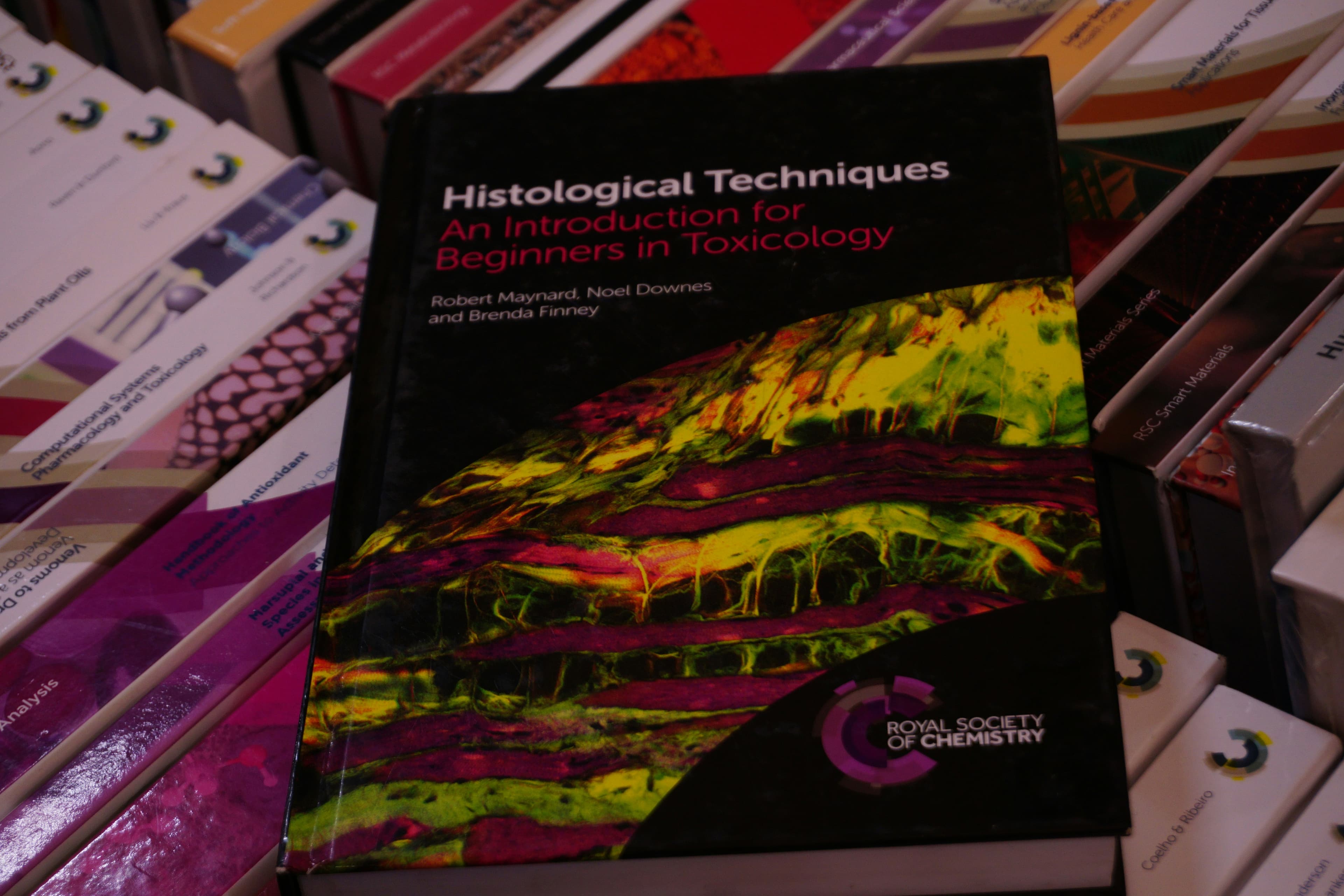 Lorem ipsum dolor sit amet consectetur adipisicing elit.